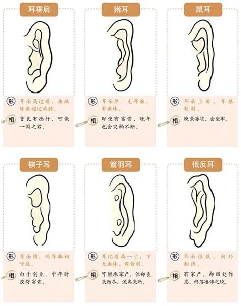 耳廓突出|面相耳朵图解【最详细版】 – 杨易德全集官网